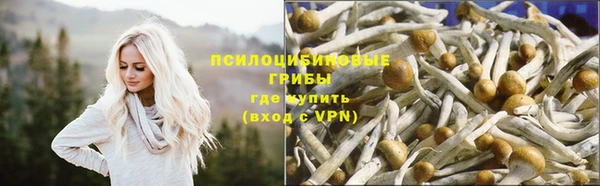 прущий лед Ельня
