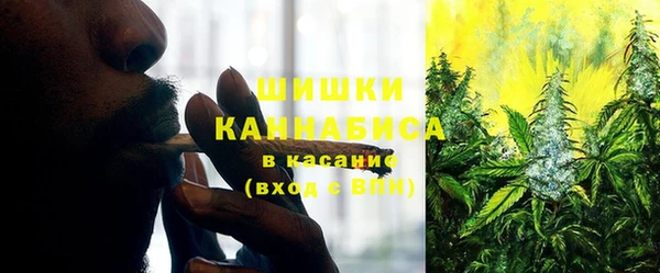 прущий лед Ельня